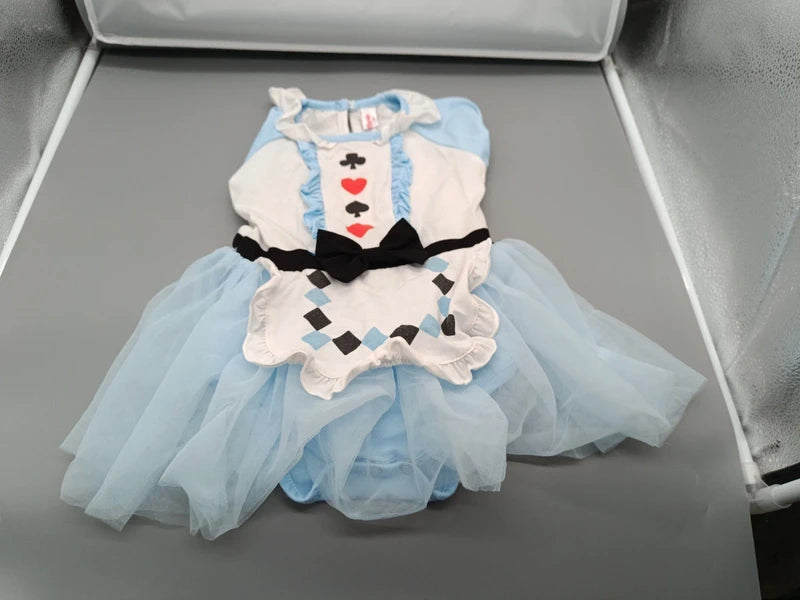 Alice im Wunderland Kostüm Gesamtansicht