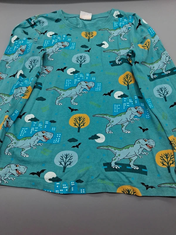 Detailansicht des Dinosaurierprints auf dem türkisfarbenen Sweatshirt