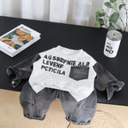 Baby boy autumn hoodie long sleeved two-piece set
