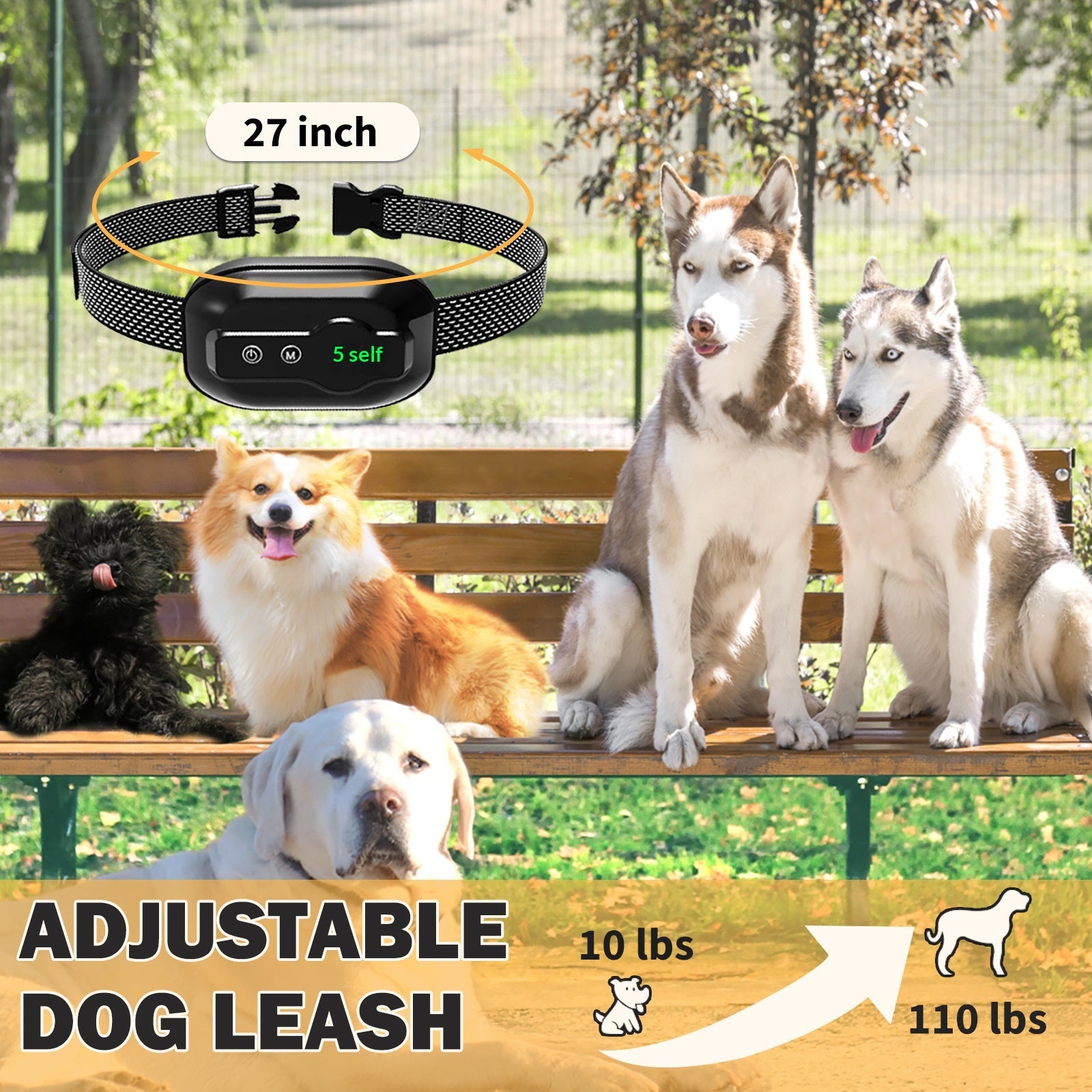 Anti-Bell-Trainingsgerät Hund