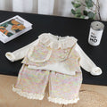 Baby girl autumn long sleeved three piece set of clothes