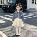 Casual dress denim jacket long sleeved two-piece set