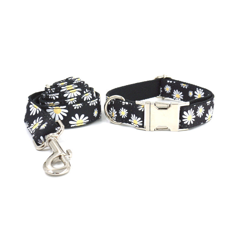 Graviertes Hundehalsband-Set